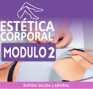 ESTÉTICA CORPORAL – MÓDULO 2/8