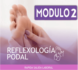REFLEXOLOGIA PODAL MÓDULO Nº 2