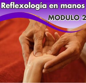 REFLEXOLOGIA EN MANOS – Módulo N° 2