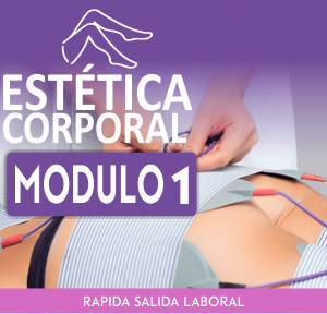 ESTÉTICA CORPORAL – MÓDULO N° 1/8