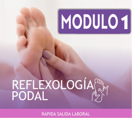 REFLEXOLOGÍA PODAL – Módulo Nº 1