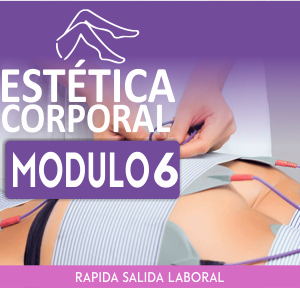 ESTÉTICA CORPORAL – MÓDULO 6/8